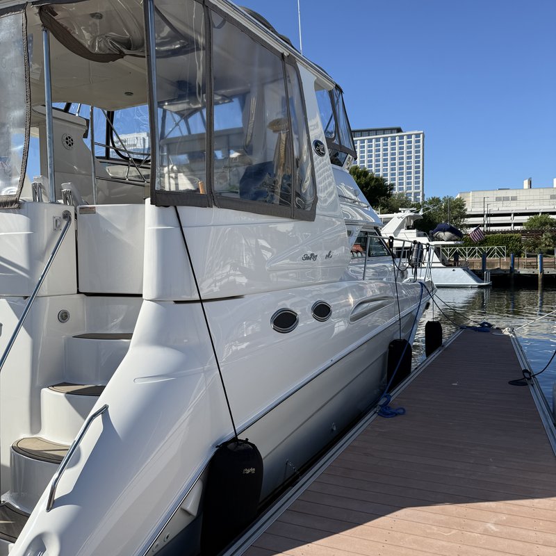Sea Ray 420 detailed by Deadrise Detail