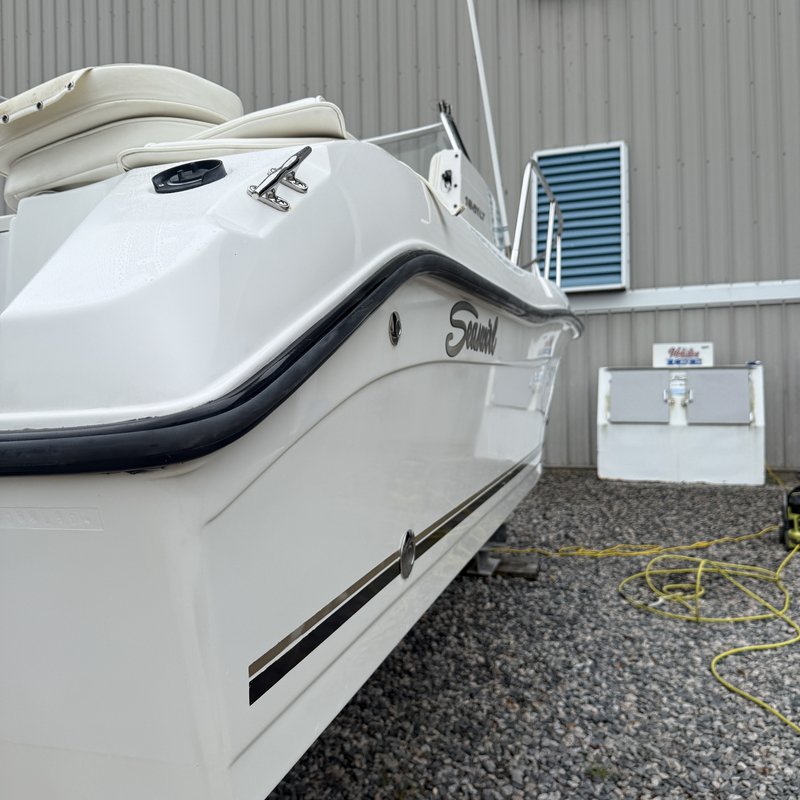 Sea Striper detailed by Deadrise Detail